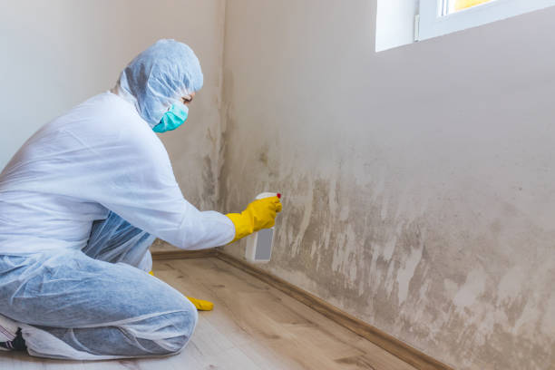 Crawl Space Mold Removal in Percy, IL