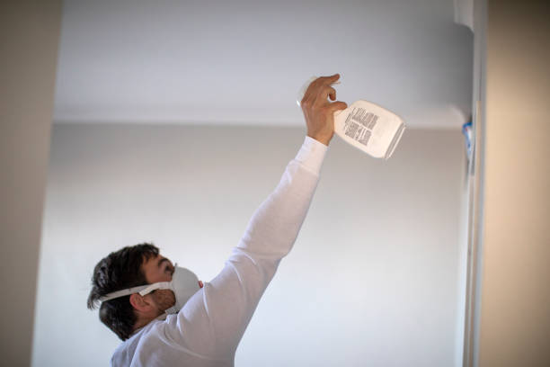 Best Office Mold Removal Services  in Percy, IL