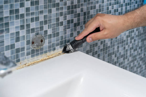 Best Mold Remediation Services  in Percy, IL